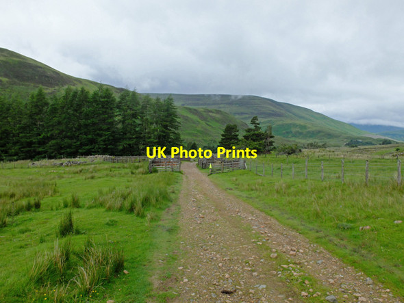 Photo 6"x4" Entering the woodland near Bl\u00c3\u00a0r a' Chaorainn Doire B\u00e0n c2016