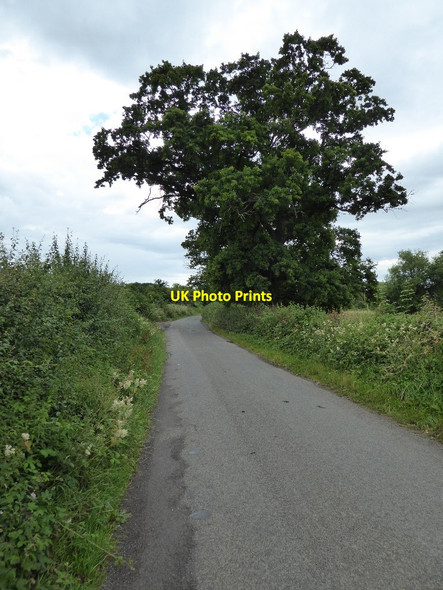 Photo 6"x4" Country road near Hanley Castle Church End\/SO8341 c2016