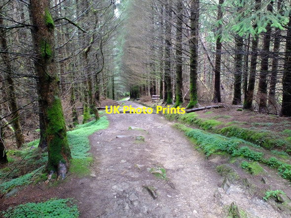 Photo 6"x4" West Highland Way in Nevis Forest Blarmachfoldach c2016