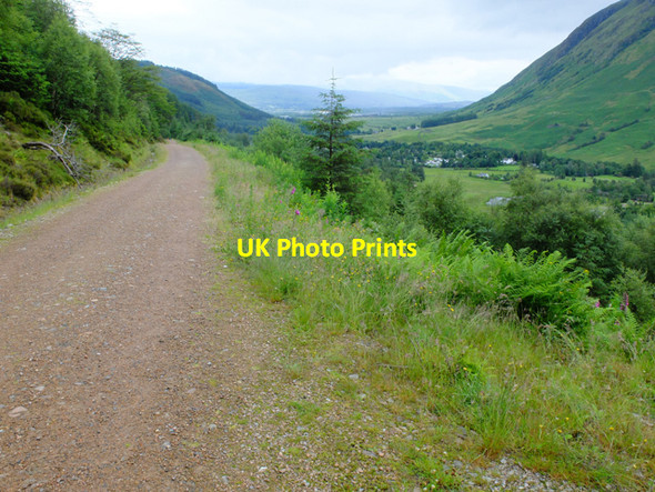 Photo 6"x4" Forest track in Glen Nevis Fort William\/An Gearasdan c2016