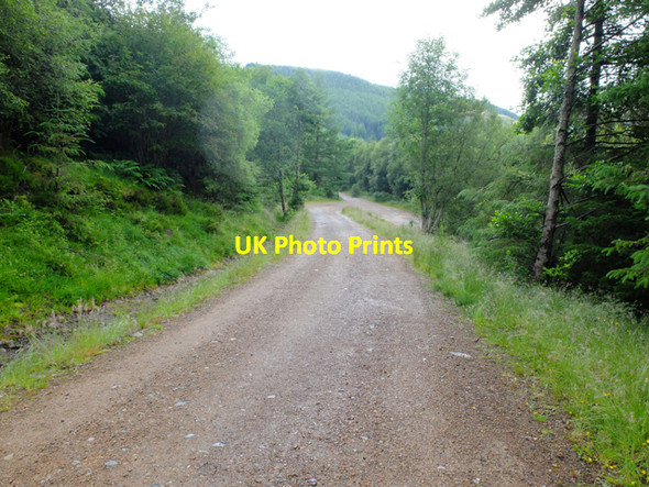Photo 6"x4" West Highland Way in Glen Nevis Fort William\/An Gearasdan c2016