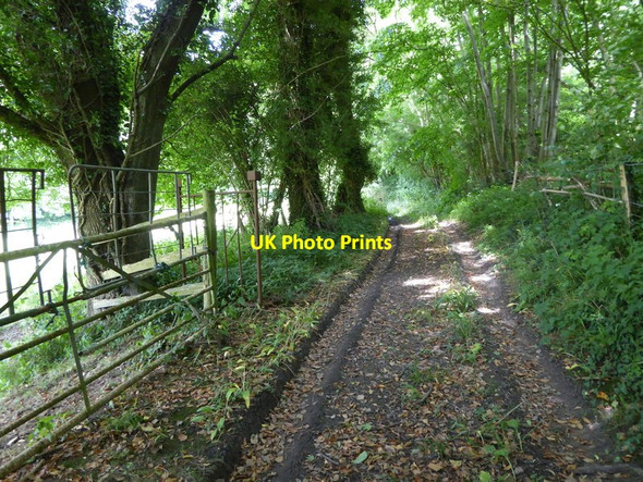 Photo 6"x4" Footpath on Hubbard's Hill (1) Hubbard's Hill c2016