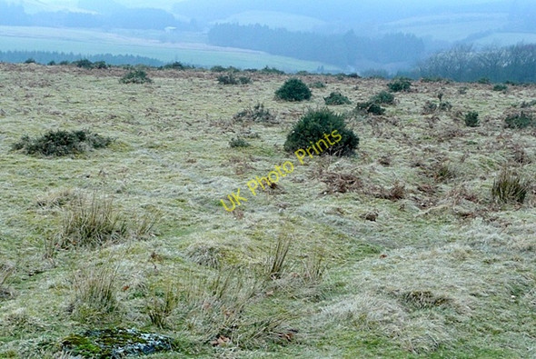 Photo 6"x4" Above Tirabad Tirabad c2009