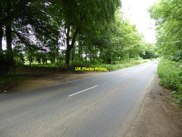 Photo 6"x4" The B4081 passing through Nathan's Plantation Broad Campden c2016