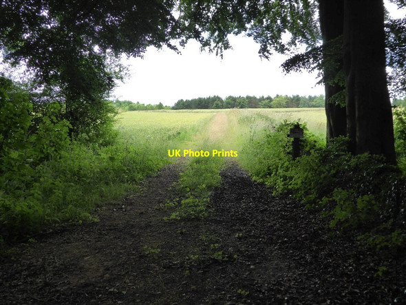 Photo 6"x4" Farmland track Broad Campden c2016