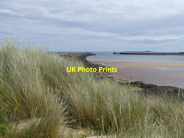 Photo 6"x4" Mouth of the River Coquet Amble c2016