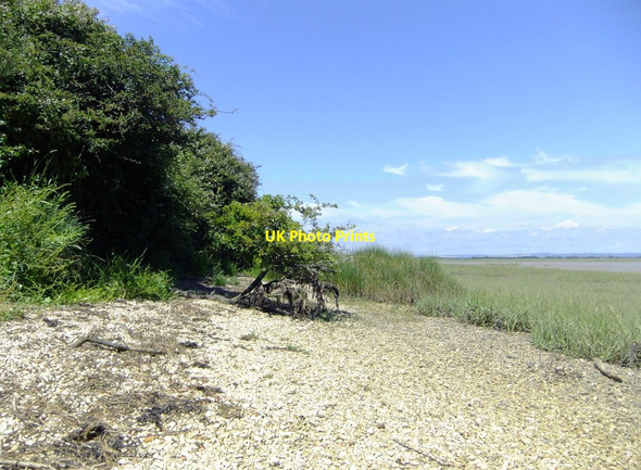 Photo 6"x4" Pagham Harbour: foreshore north of Church Norton Church Norton c2016