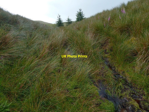 Photo 6"x4" Burn flowing from disused reservoir Spango\/NS2374 c2016