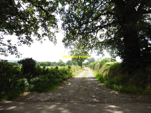 Photo 6"x4" Track to Hayne Barton St George's Well\/ST0208 c2016