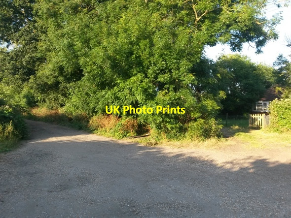 Photo 6"x4" Throop: a secluded bungalow in Valley Road Holdenhurst c2016