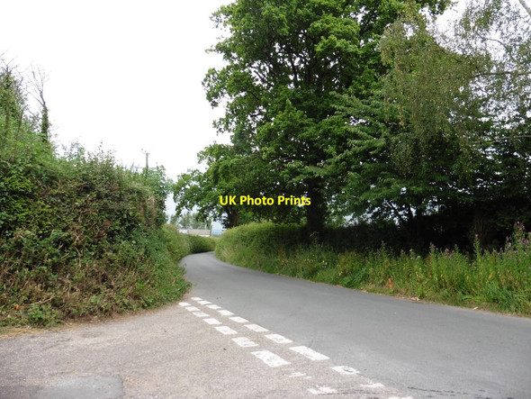 Photo 6"x4" Turning for Goodiford Mill Dulford c2016