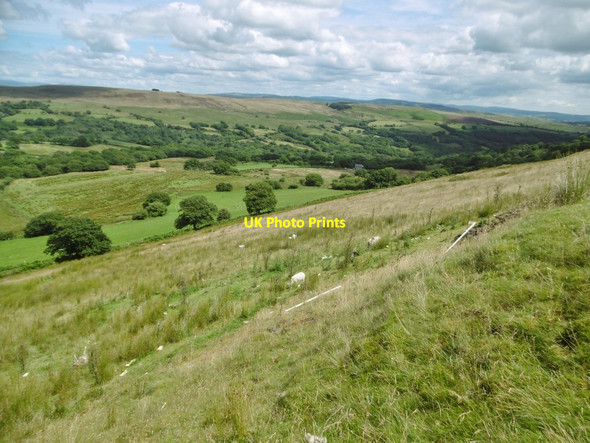 Photo 6"x4" Tor Clawdd, sheep grazing Rhyd-y-gwin c2016