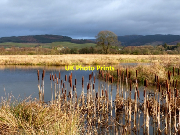 Photo 6"x4" Moffat Community Nature Reserve Moffat c2014