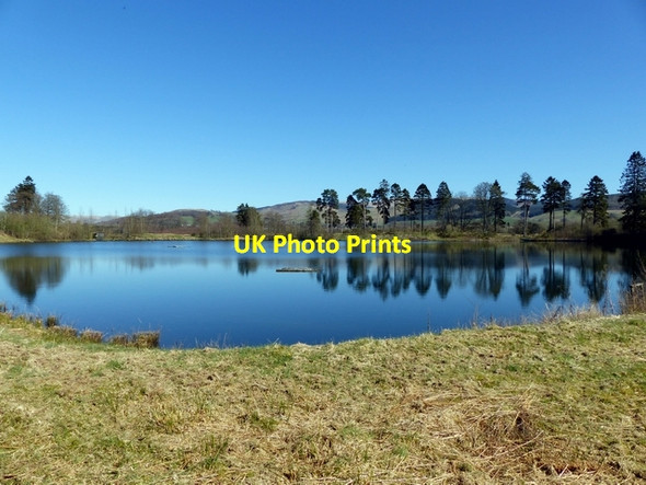Photo 6"x4" The Lochan, Moffat Community Nature Reserve Moffat c2016
