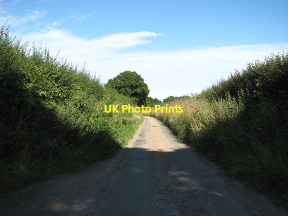 Photo 6"x4" View east along Beeston Lane Old Catton c2016