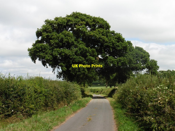 Photo 6"x4" Approaching Five Cross Way Mutterton c2016