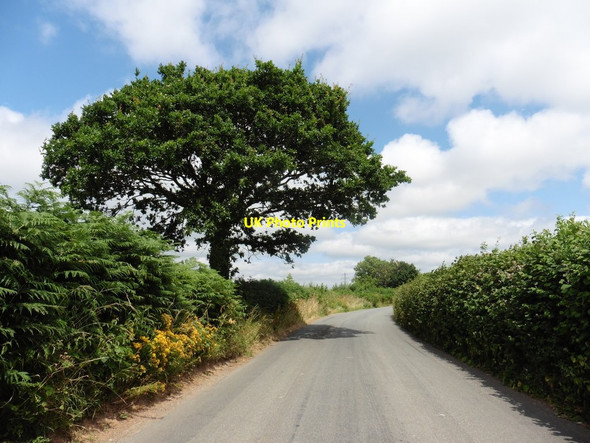 Photo 6"x4" Minor road to Kentisbeare Aller\/ST0506 c2016