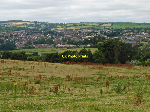 Photo 6"x4" Cullompton, viewed from Old Hill Colebrook c2016