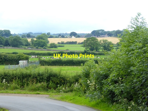 Photo 6"x4" Pastoral landscape near Skelton Skelton\/NY4335 c2016