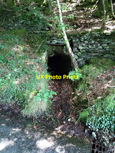 Photo 6"x4" Mine drainage adit, Eglwys Fach Eglwys Fach c2016