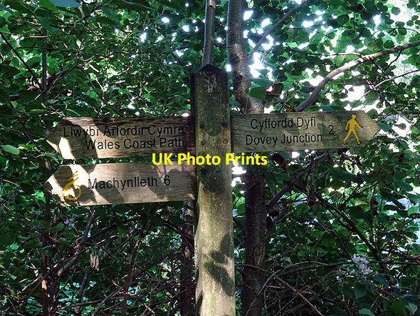 Photo 6"x4" Finger post at Melindwr Glandyfi c2016