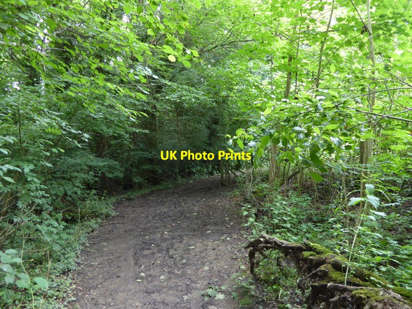 Photo 6"x4" London Countryway in Kent (116) Claygate Cross c2016