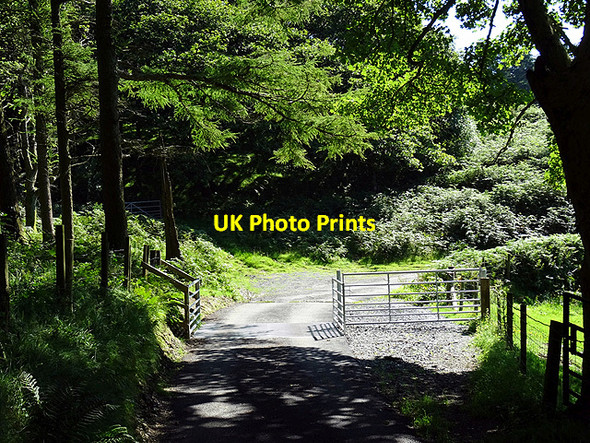 Photo 6"x4" Cattle grid in Cwm Cymerau Glandyfi c2016