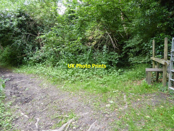 Photo 6"x4" London Countryway in Kent (123) Basted c2016
