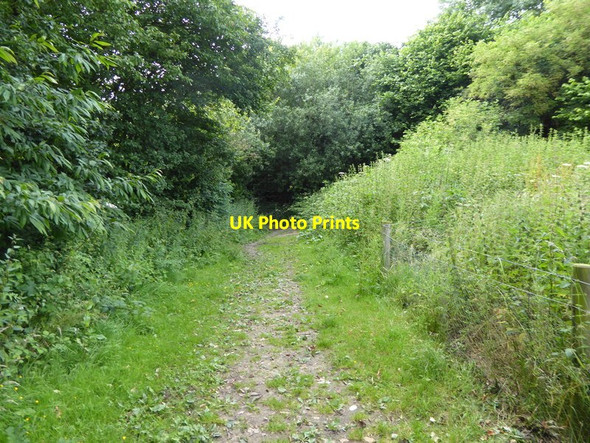 Photo 6"x4" London Countryway in Kent (137) Plaxtol c2016