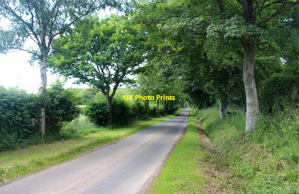 Photo 6"x4" Shady road at Meg's Muir, Morriston Legerwood c2016