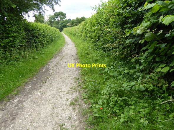 Photo 6"x4" London Countryway in Kent (141) Ivy Hatch c2016
