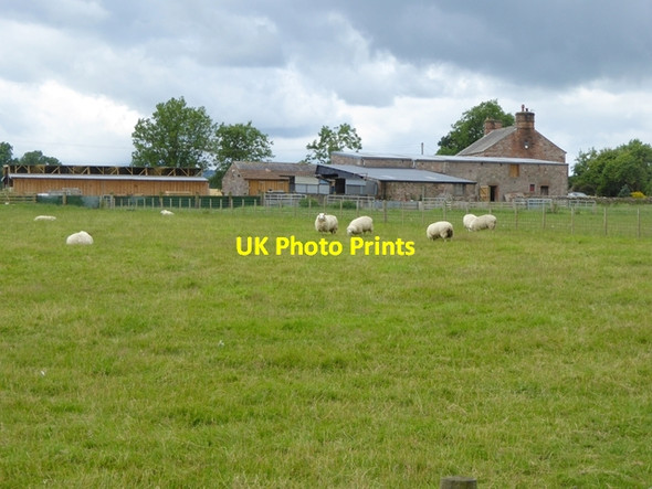 Photo 6"x4" Farm at Unthank Unthank\/NY4536 c2016