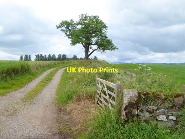 Photo 6"x4" Farm road at Unthank End Unthank\/NY4536 c2016