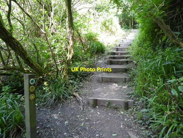 Photo 6"x4" London Countryway in Kent (149) Underriver Ho c2016