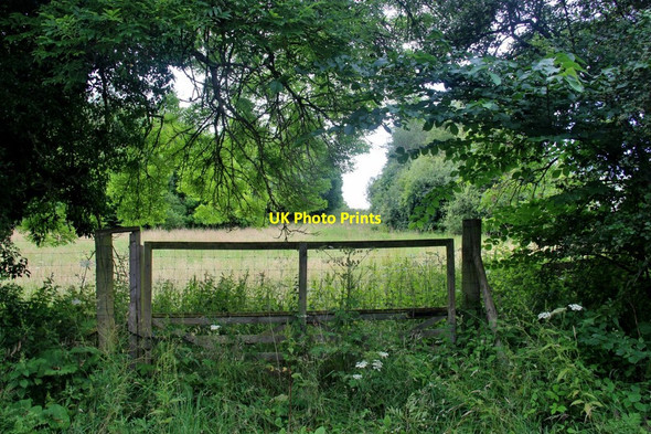 Photo 6"x4" Tweed Horizons Centre woodlands Dryburgh\/NT5931 c2016