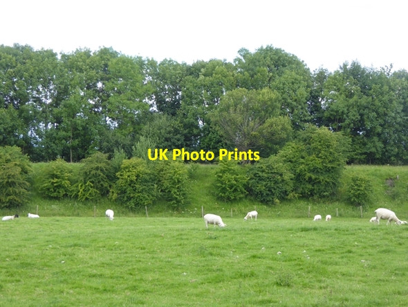 Photo 6"x4" Old railway embankment at Tymparon Hall Newbiggin\/NY4729 c2016
