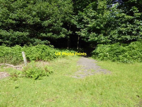 Photo 6"x4" London Countryway in Kent (165) Sevenoaks c2016