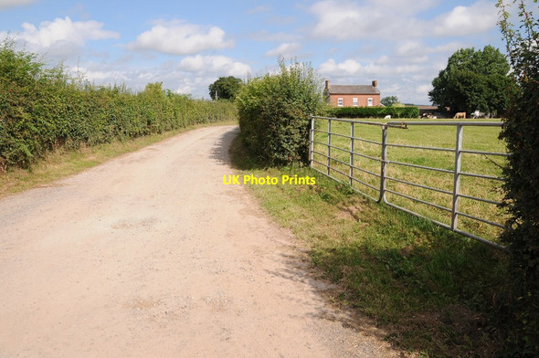 Photo 6"x4" The Venmore Sollers Dilwyn c2016