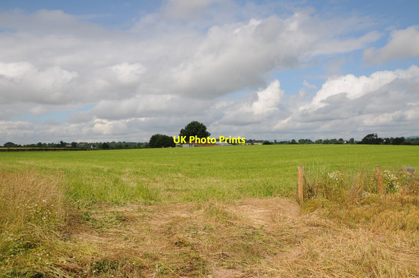 Photo 6"x4" Farmland and The Venmore Sollers Dilwyn c2016