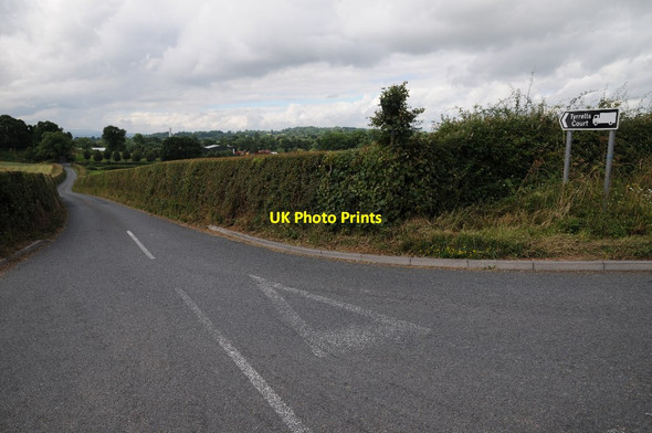 Photo 6"x4" The road to Tyrrell's Court Lower Burton c2016