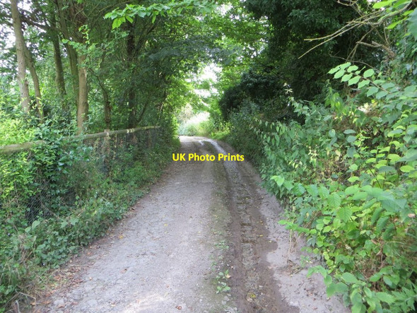 Photo 6"x4" Track to the Downs Aston Upthorpe c2016