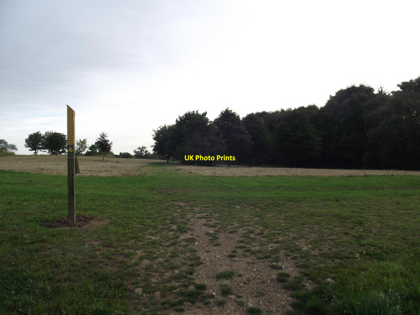 Photo 6"x4" Footpath through Carlton Park Enderby c2016