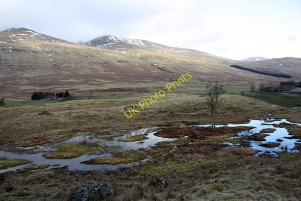 Photo 6"x4" Bog near Balnreich Ardeonaig c2009