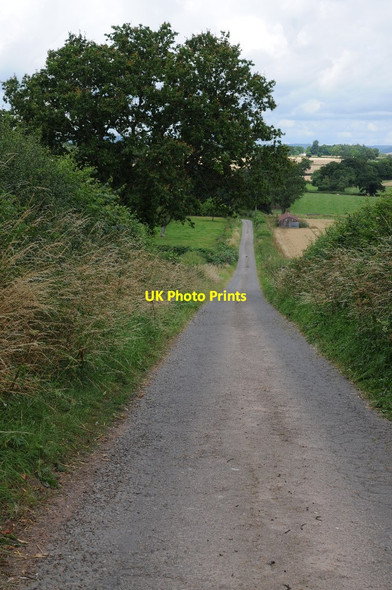 Photo 6"x4" Country road near Bidney Farm Lower Burton c2016