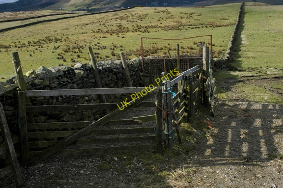 Photo 6"x4" Sheep Pen, Long Lane Studfold\/SD8170 c2009