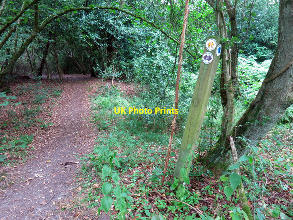 Photo 6"x4" Leaning Waymark Bucklebury c2016