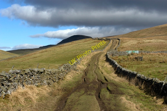 Photo 6"x4" Long Lane Studfold\/SD8170 c2009