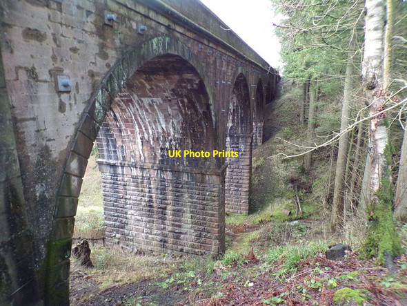 Photo 6"x4" Carronhill Viaduct . Carronbridge Cairnpark\/NX8698 c2015