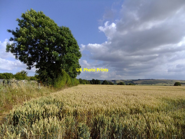 Photo 6"x4" Farmland south of West Challow Childrey c2016