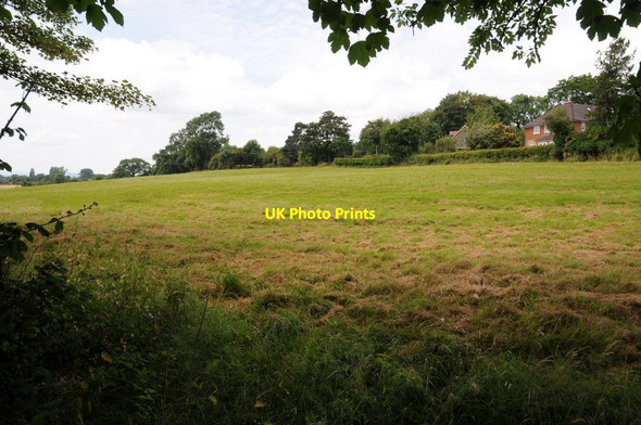 Photo 6"x4" Field at Newland, Leominster Leominster c2016